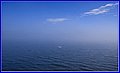 _MG_4791.jpg