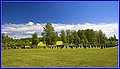 _MG_4814.jpg