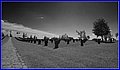 _MG_4825_B.jpg