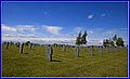 _MG_4826.jpg