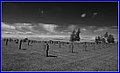 _MG_4826_B.jpg