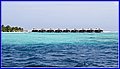 _MG_4907.jpg