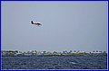 _MG_4946.jpg