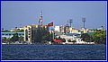 _MG_4950.jpg