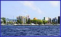 _MG_4952.jpg