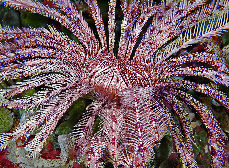 085XH3N0915.jpg