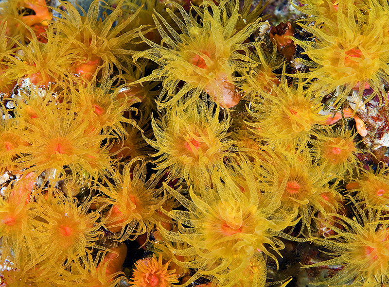086XH3N0934.jpg
