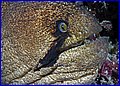 093XH3N1426.jpg