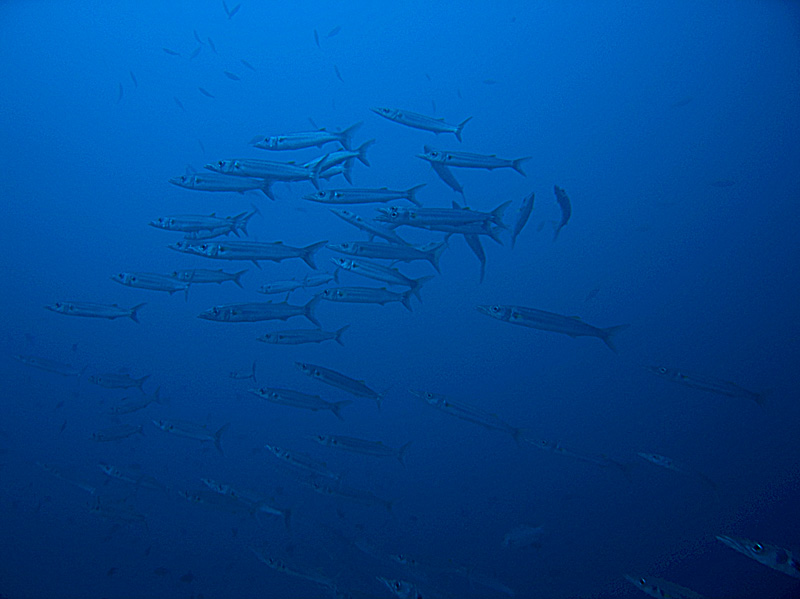 CRW_2754.jpg