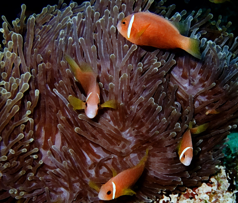 CRW_2870.jpg