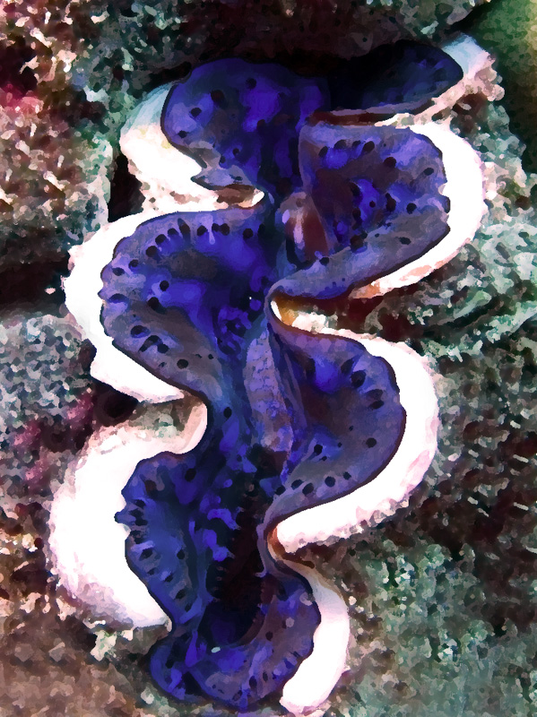 CRW_5701.jpg