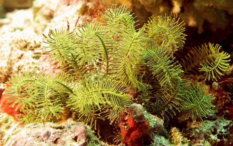 CRW_5861.jpg