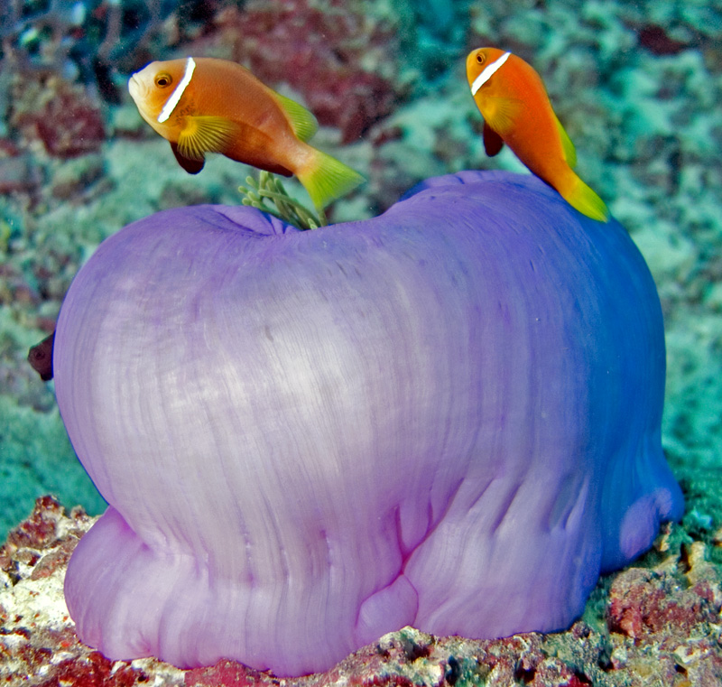 CRW_6851.jpg