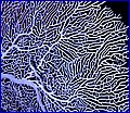 CRW_6540.jpg