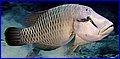 CRW_6631.jpg