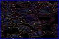 CRW_6647.jpg