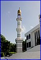 IMG_7128.jpg