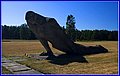 _MG_0065.jpg