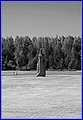 _MG_0145_B.jpg