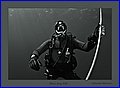 016XH3N2795 2.jpg