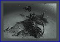 021 1XH3N2862 2.jpg