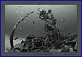 022XH3N2816.jpg