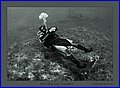 044XH3N3016 2.jpg