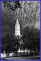 _MG_1565B.jpg