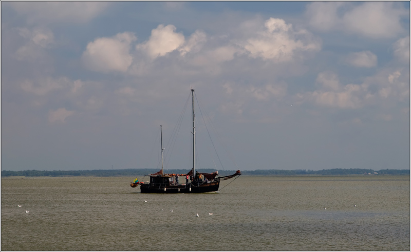 _MG_1733.jpg