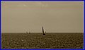 _MG_1635.jpg