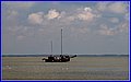 _MG_1733.jpg