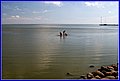 _MG_1739.jpg