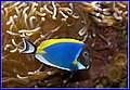_MG_1804.jpg
