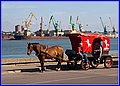 _MG_1864.jpg