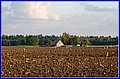 _MG_1869.jpg