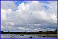 _MG_1933.jpg