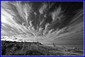 _MG_1937A.jpg