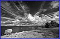 _MG_1939A2.jpg