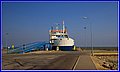 _MG_2029.jpg