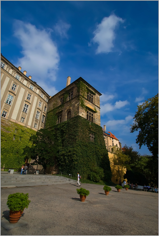 _MG_5336.jpg