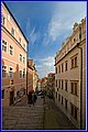 _MG_5387.jpg