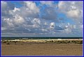 _MG_5986.jpg