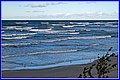 _MG_6005.jpg