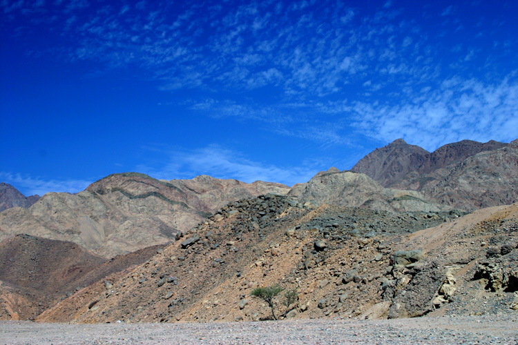 IMG_7527.jpg