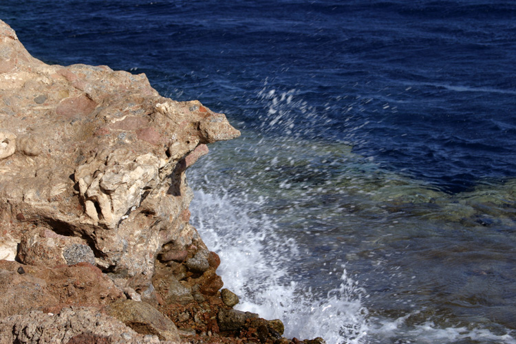 IMG_7576.jpg