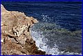IMG_7576.jpg