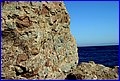 IMG_7593.jpg