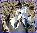 IMG_7596.jpg