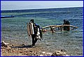 IMG_7697.jpg