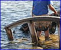 IMG_7741.jpg